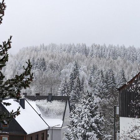 Ferienwohnungen Zauberberg, Schneehase & Glitzerhirsch Oberwiesenthal Exterior foto