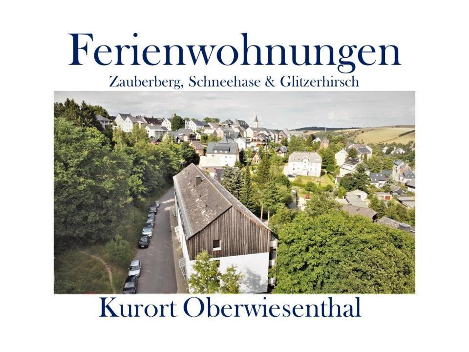 Ferienwohnungen Zauberberg, Schneehase & Glitzerhirsch Oberwiesenthal Exterior foto